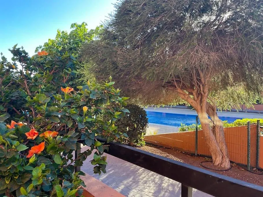 La Tejita Cozy Apartment With Large Terrace Next To The Pool